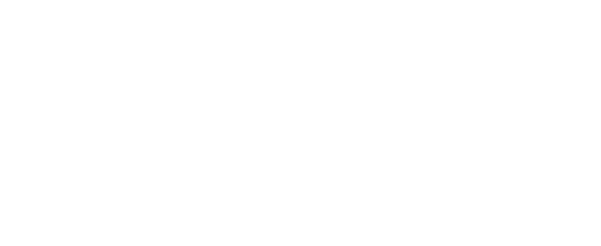 bicredit